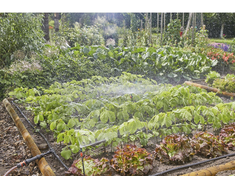 Gardena Tropfbewässerung Set Gemüse-/Blumenbeet (60 m²)