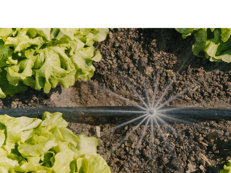 Gardena Tropfbewässerung Set Gemüse-/Blumenbeet (60 m²)