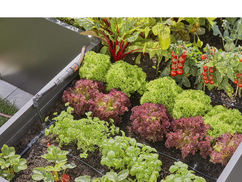 Gardena Tropfbewässerung Set Hochbeet/Beet (35 Pflanzen)