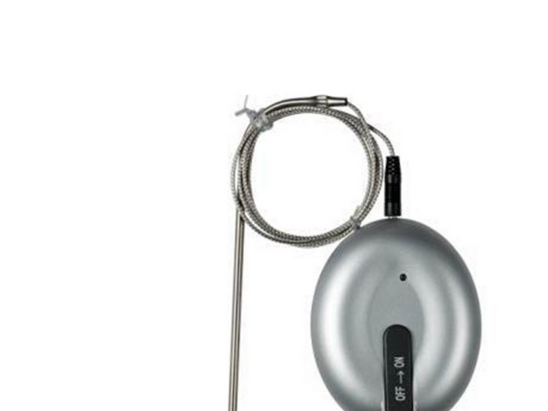 Funktion wireless roasting thermometer