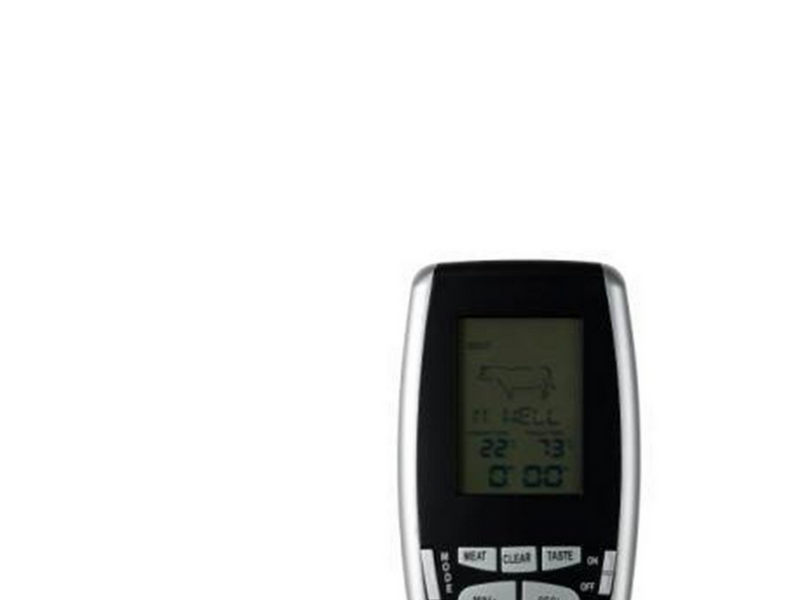 Funktion wireless roasting thermometer