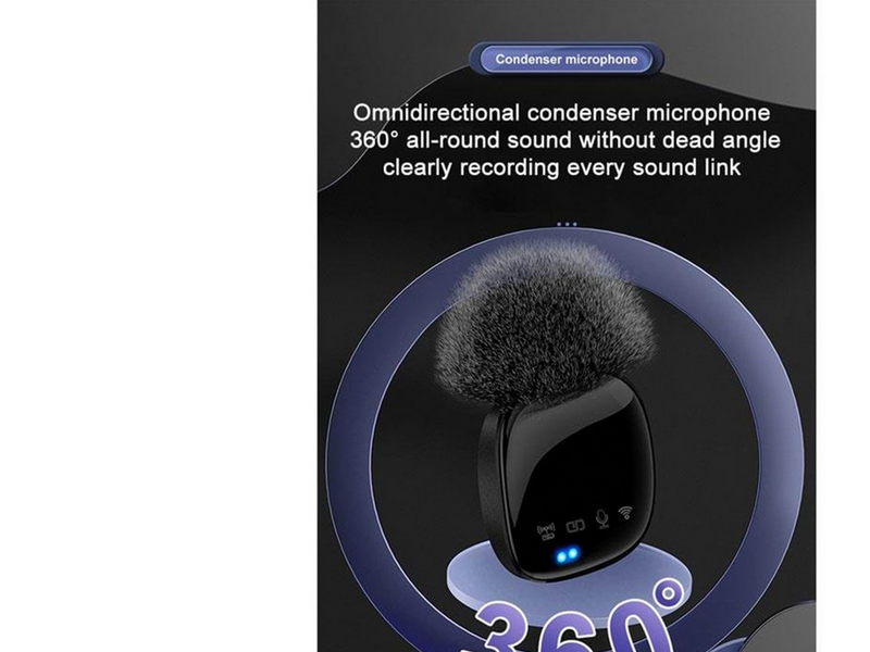 Lippa Dual Wireless Wind Protected Microphone With USB-C Connector
