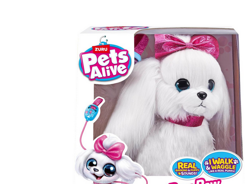 Pets alive Paw Paw Walking Puppy