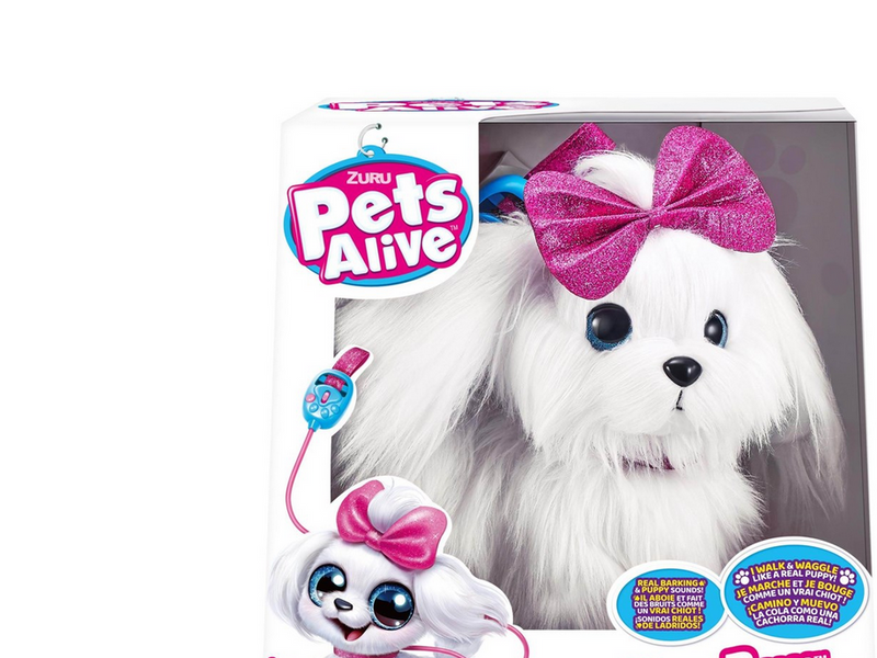 Pets alive Paw Paw Walking Puppy