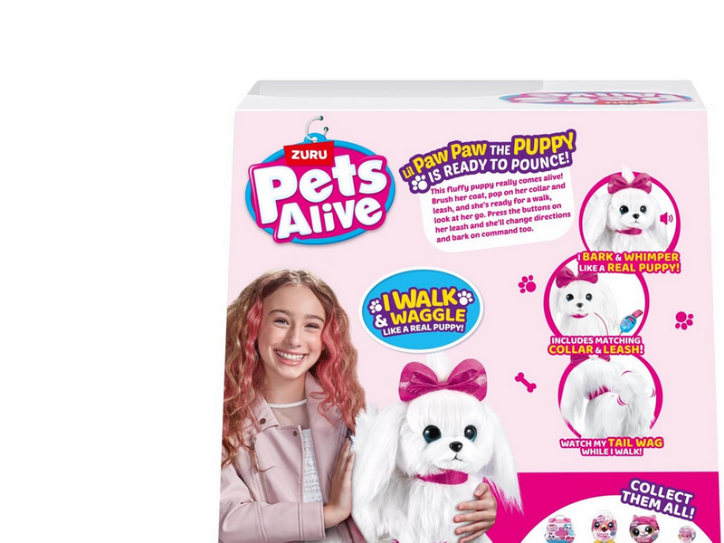 Pets alive Paw Paw Walking Puppy