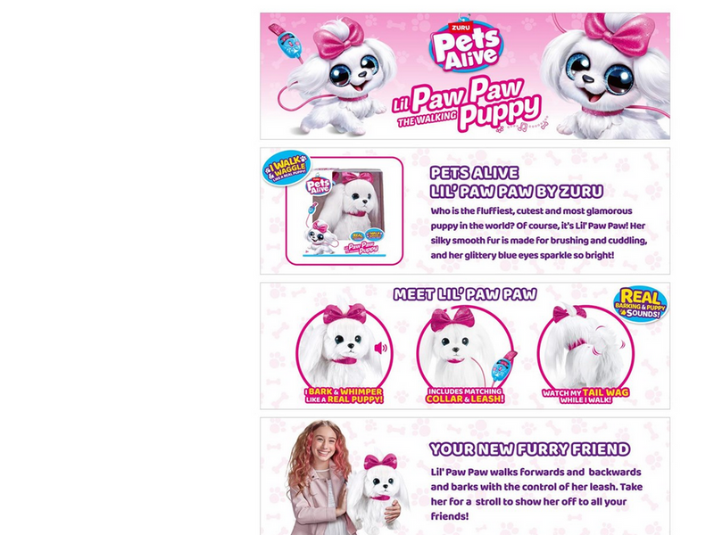Pets alive Paw Paw Walking Puppy