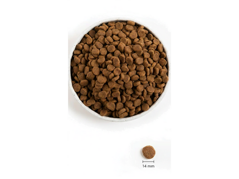 ORIJEN Original Complete Dry Dog Food 6kg