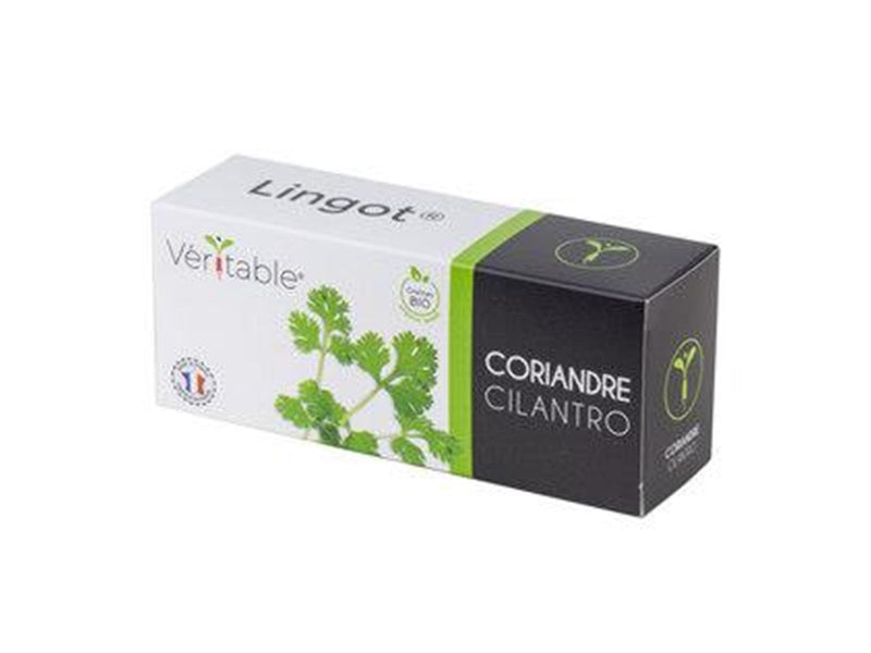 Veritable Lingot Cilantro