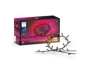 Philips Hue Festavia Outdoor String Lights (250 LEDs) — White & Color Ambiance