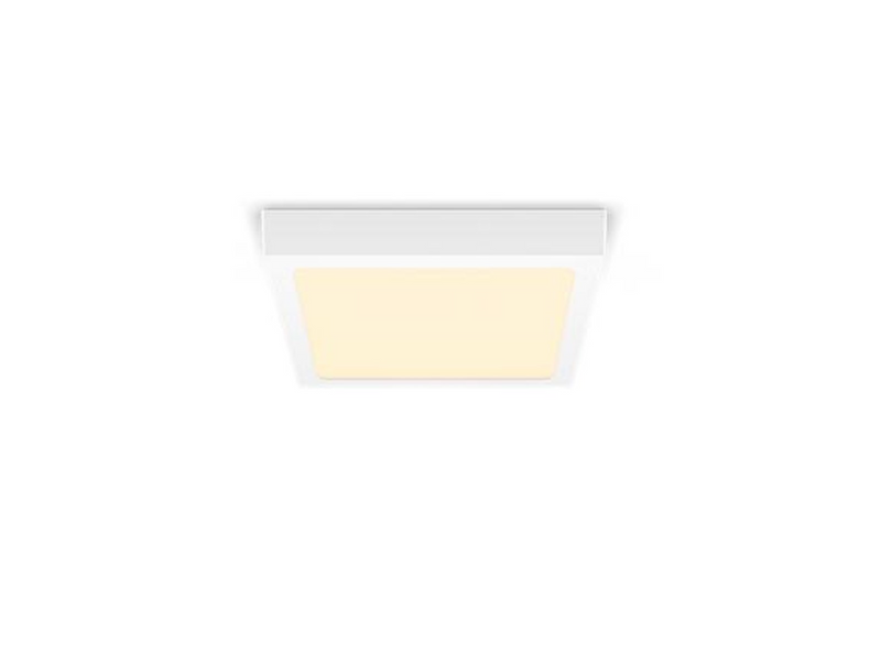 Philips MAGNEOS SF DL252 SQ 210 12W 27K WH 06