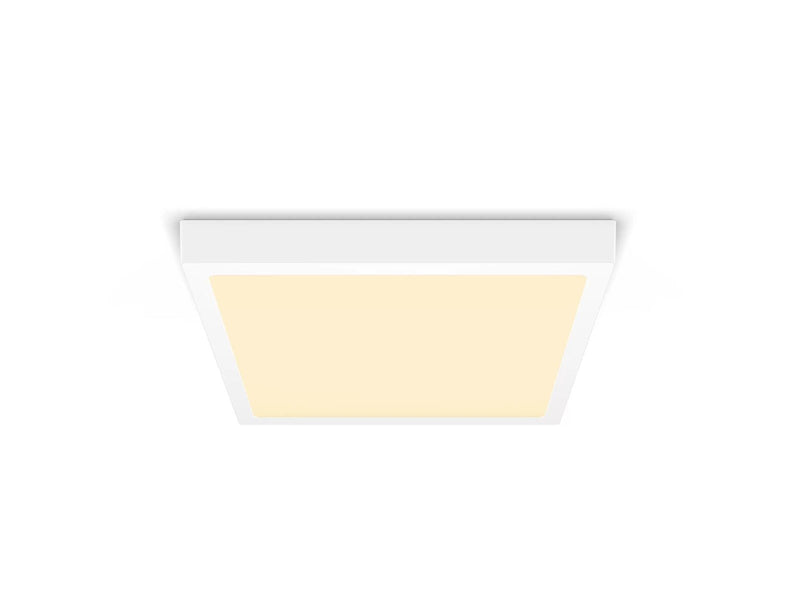Philips MAGNEOS SF DL252 SQ 284 20W 27K WH 06