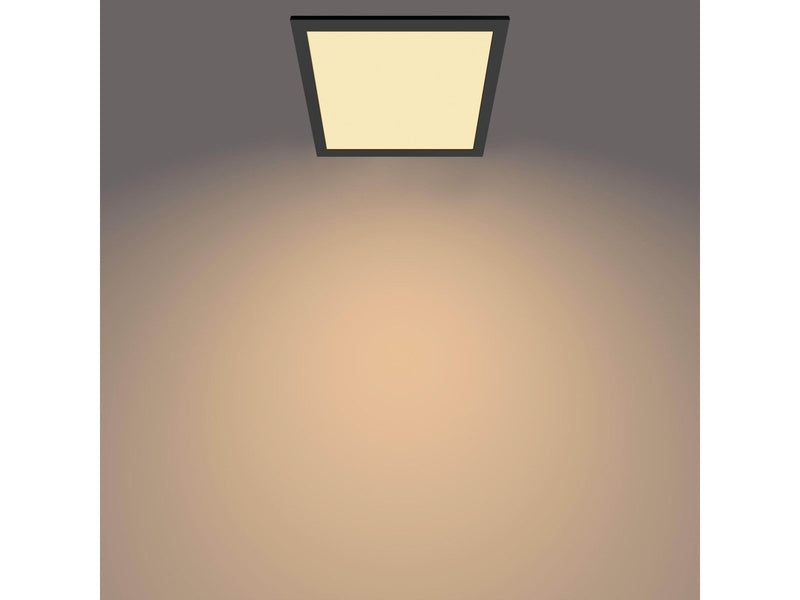 Philips Panel ceiling CL560 SS SQ 12W 27K B HV06