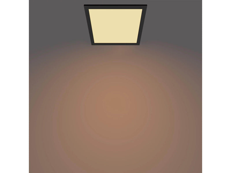 Philips Panel ceiling CL560 SS SQ 12W 27K B HV06
