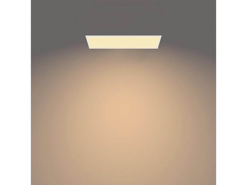 Philips Panel ceiling CL560 SS RT 36W 27K W HV06