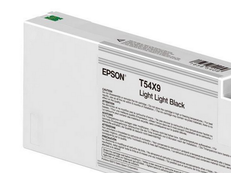 Epson T54X9 - light light black - original - ink cartridge
