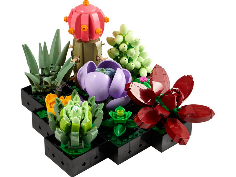 LEGO Icons 10309 Sukkulenten