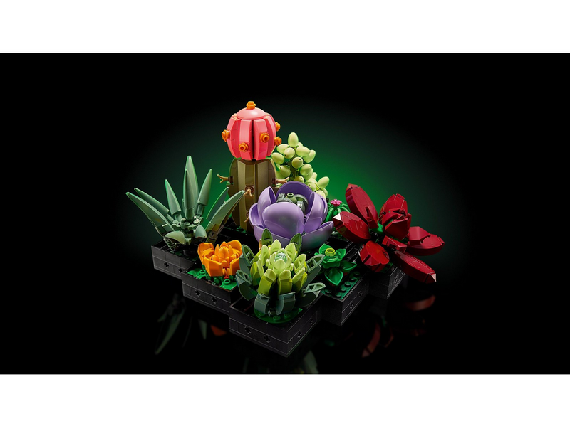LEGO Icons 10309 Sukkulenten