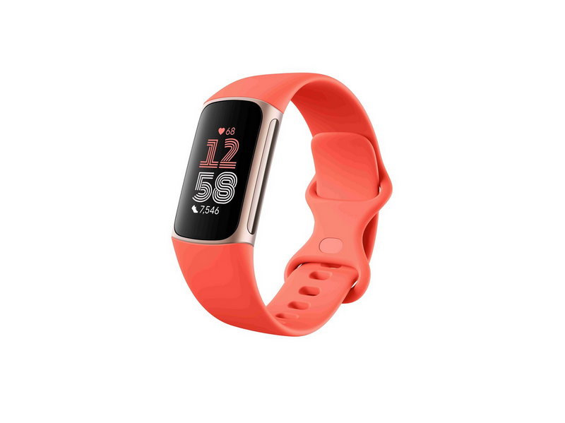 Fitbit Charge 6 Champagne Gold Aluminium Case
