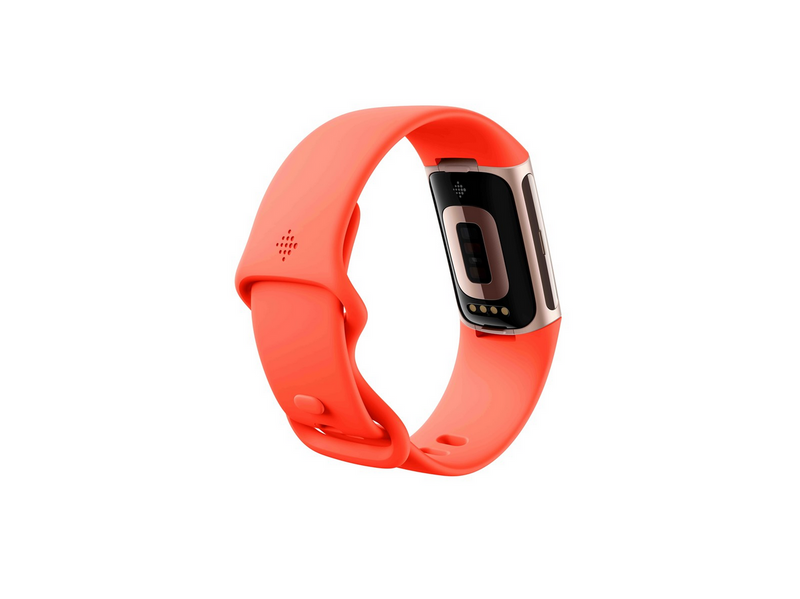 Fitbit Charge 6 Champagne Gold Aluminium Case