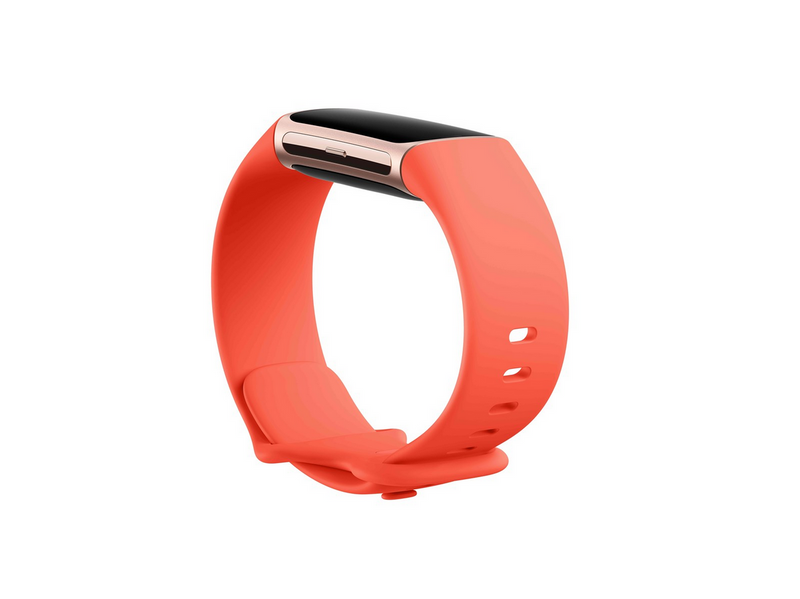 Fitbit Charge 6 Champagne Gold Aluminium Case