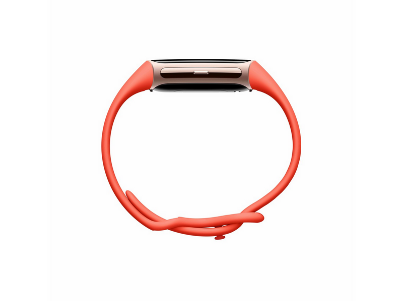 Fitbit Charge 6 Champagne Gold Aluminium Case
