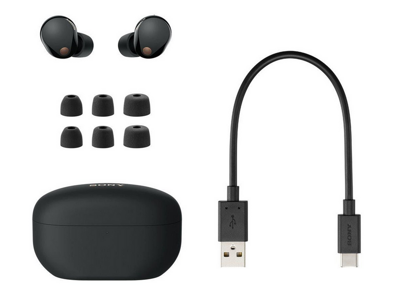 Sony WF-1000XM5 - Earbuds - Black