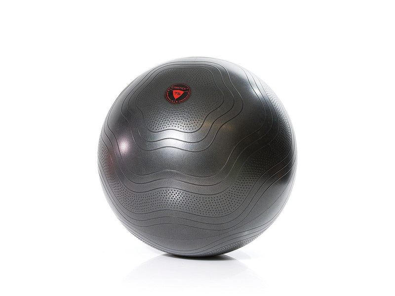 Gymstick Exercise Ball 65cm