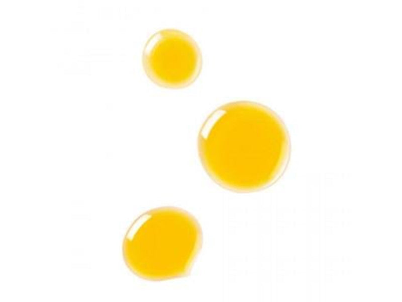 Dr. Hauschka Clarifying Day Oil