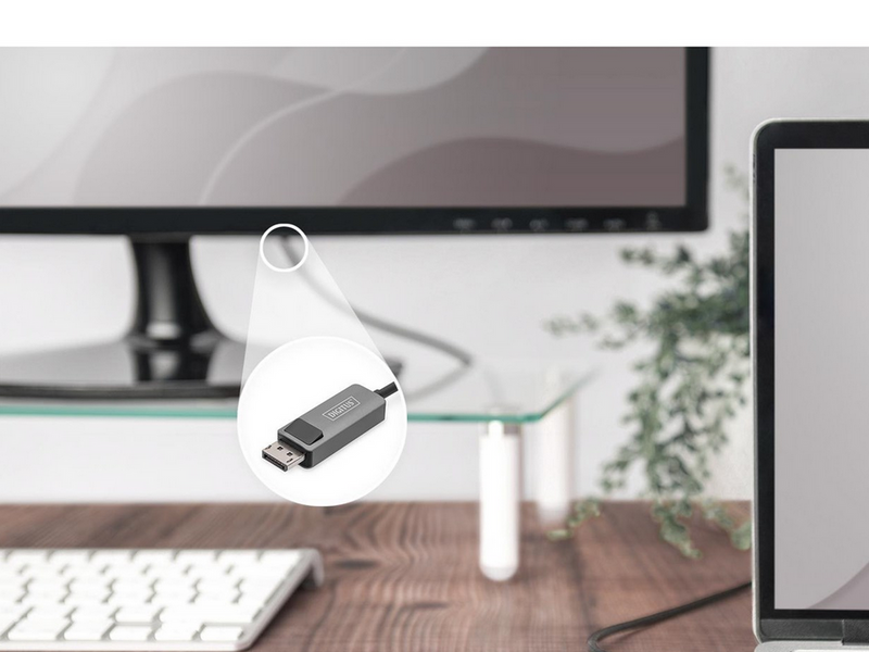 DIGITUS USB Type C to DisplayPort Cable - 2m