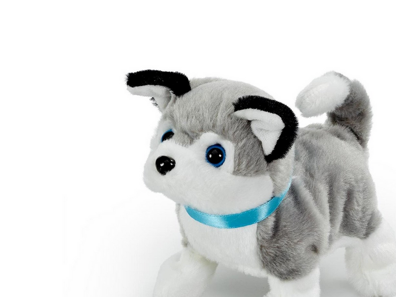 Happy Pets Playful Puppy Pals 1 pcs. (Assorted)