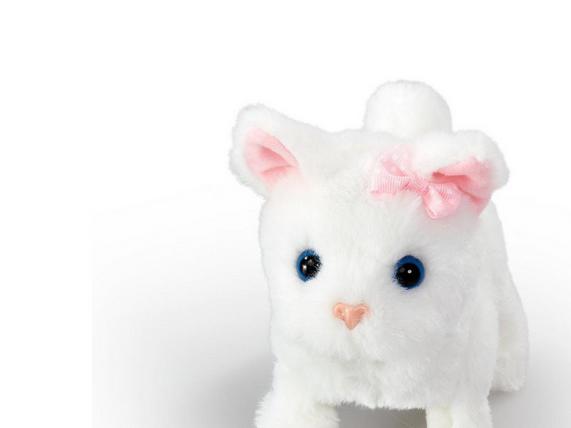 Happy Pets Pretty Little Kitty 3 (Assorted)