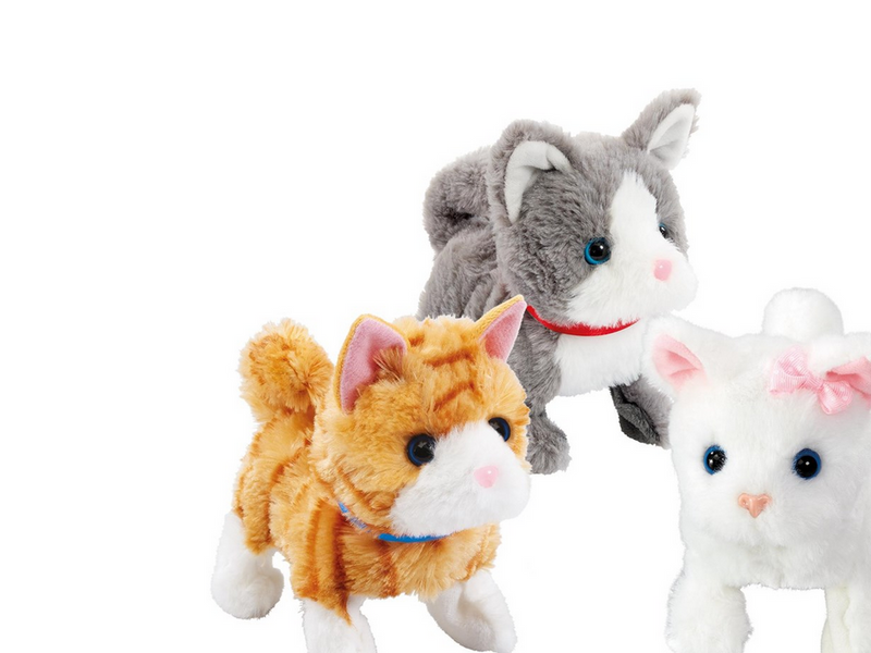 Happy Pets Pretty Little Kitty 3 (Assorted)