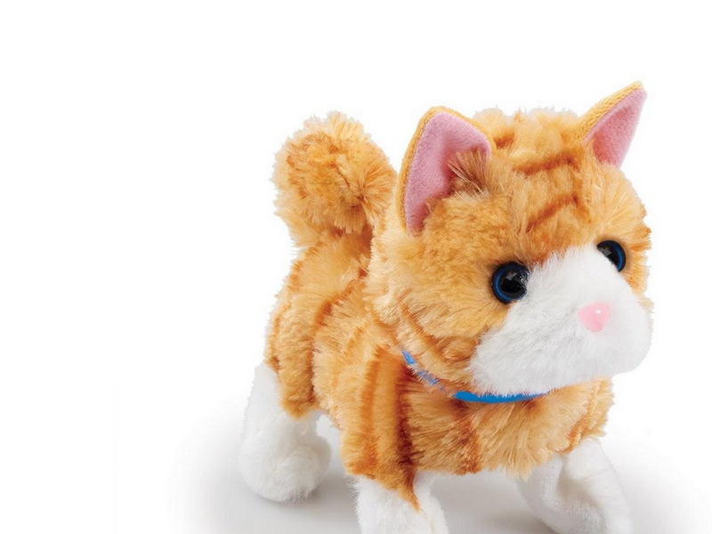Happy Pets Pretty Little Kitty 3 (Assorted)