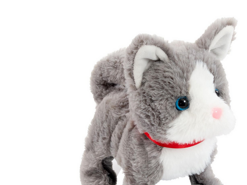 Happy Pets Pretty Little Kitty 3 (Assorted)