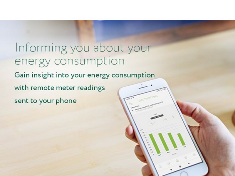 frient Electricity Meter Interface 2 LED