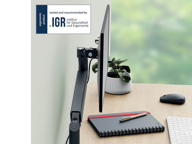 Leitz Ergo Platzsparender Single Monitorarm