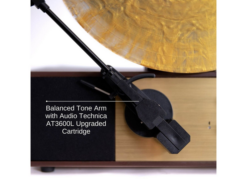 Fuse Audio REC - Audio Technica pick-up - Plattenspieler Braun