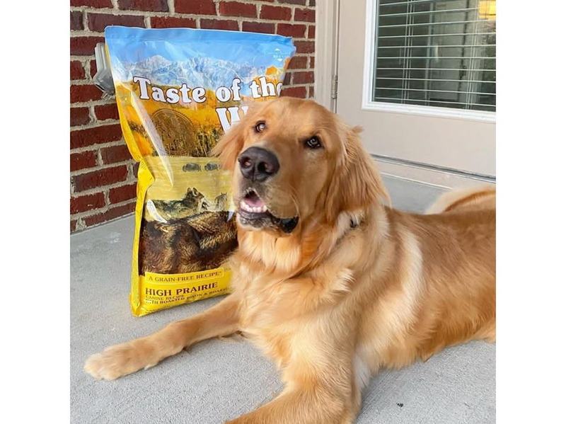 Taste of the wild Roasted Bison & Roasted Venison 12.2 kg