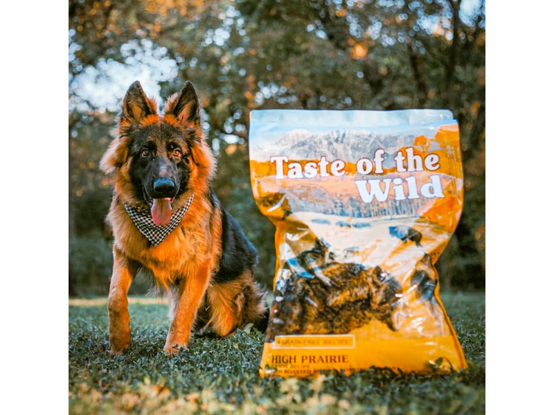 Taste of the wild Roasted Bison & Roasted Venison 12.2 kg