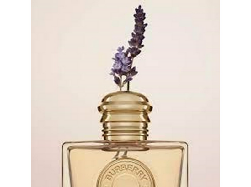 Burberry Goddess EDP - 30 ml