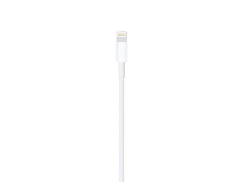 Apple Lightning to USB Cable - 1m
