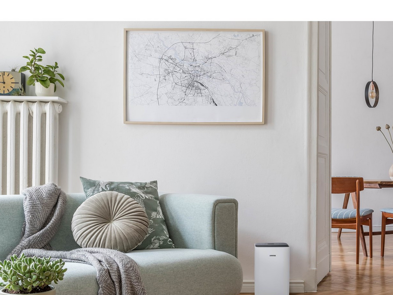 eeese Emma Dehumidifier 12L