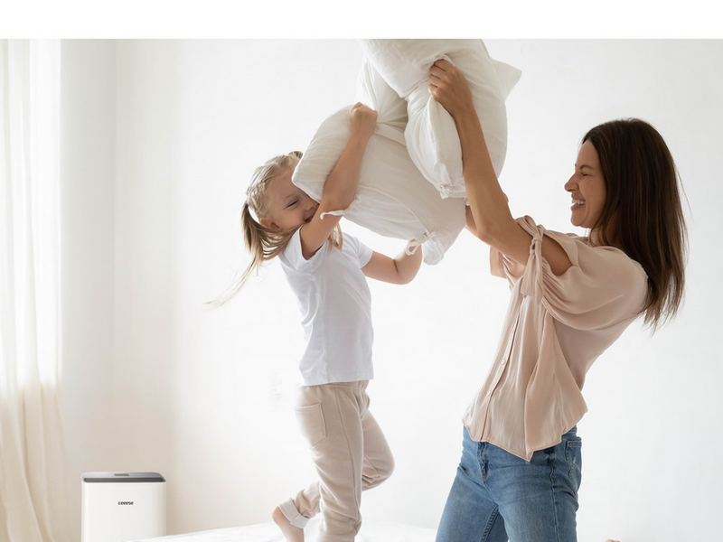 eeese Emma Dehumidifier 12L