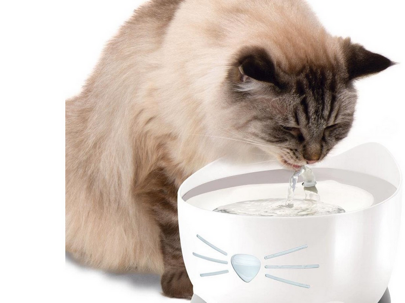 Catit - Cat Fountain Pixi 2.5L Stainless - (785.0484)