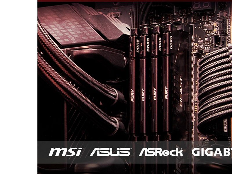 Kingston FURY Beast DDR5-6000 - 8GB - CL30 - Single Channel (1 pcs) - AMD EXPO & Intel XMP - Schwarz