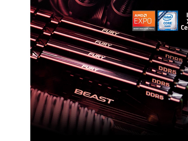 Kingston FURY Beast DDR5-6000 - 16GB - CL30 - Single Channel (1 pcs) - AMD EXPO & Intel XMP - Schwarz