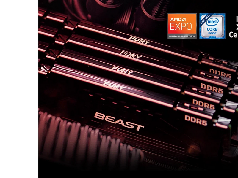 Kingston FURY Beast DDR5-6000 - 16GB - CL30 - Dual Channel (2 pcs) - AMD EXPO & Intel XMP - Schwarz