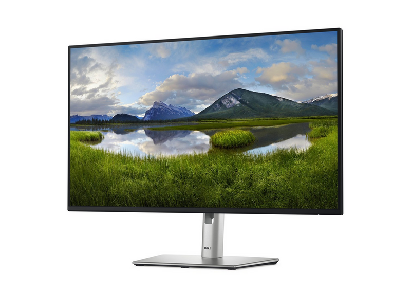 27" Dell P2725H - 1920x1080 (FHD) - 100Hz - IPS - 15W USB-C