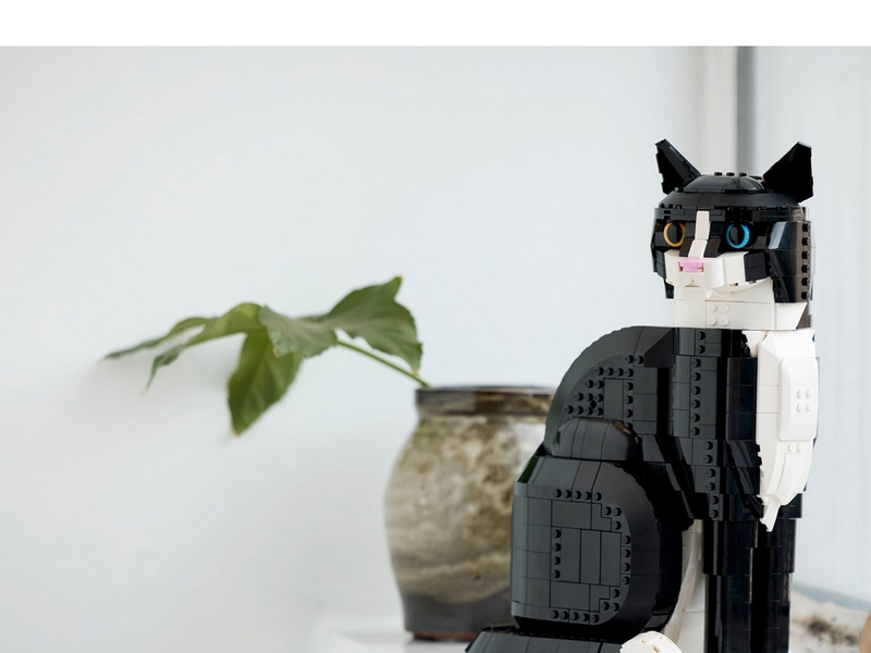 LEGO Ideas 21349 Schwarz-weiße Katze