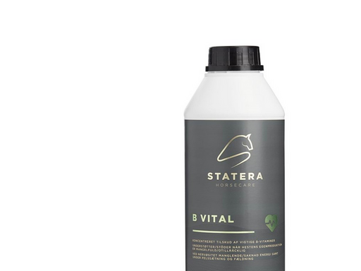 STATERA Horsecare B Vital Konzentriertes B-Vitamin Ergänzungsmittel für Pferde 1L
